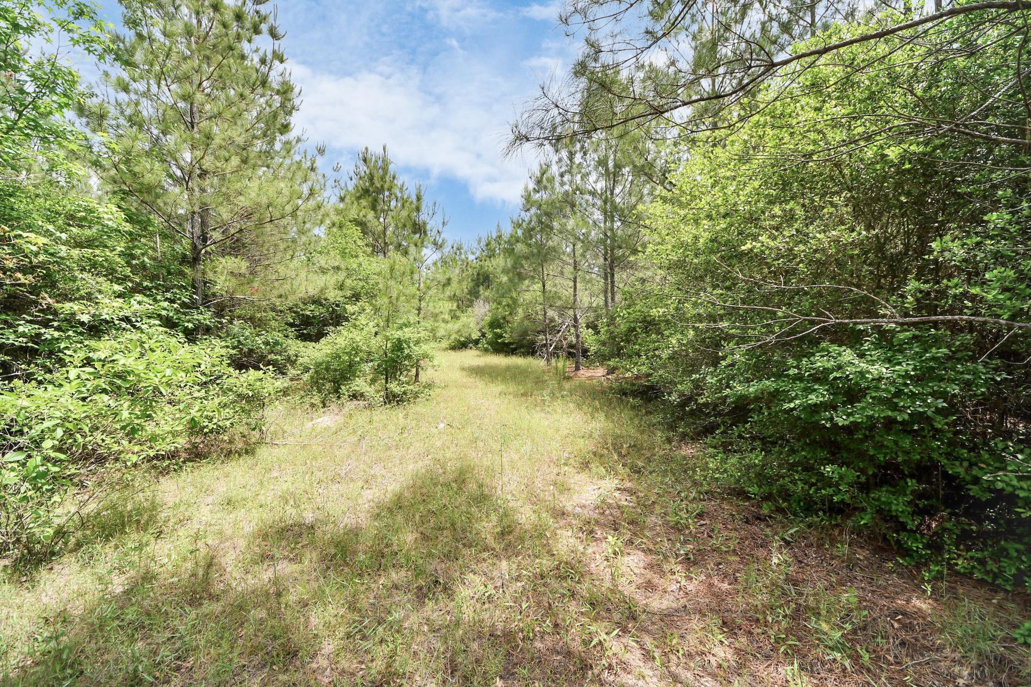 15522 Wood Grove Way