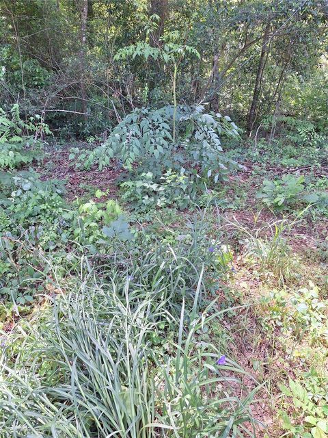 Photo of 0 Woodland Lakes Drive, Shepherd, TX 77371 (MLS # 57119831)