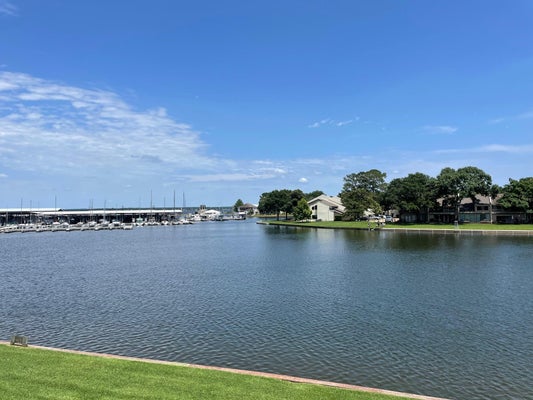12600 MELVILLE DR APT 203A, MONTGOMERY, TX 77356 - Image e33fcbba65f49b653b74b35ce5dd741f/69424015