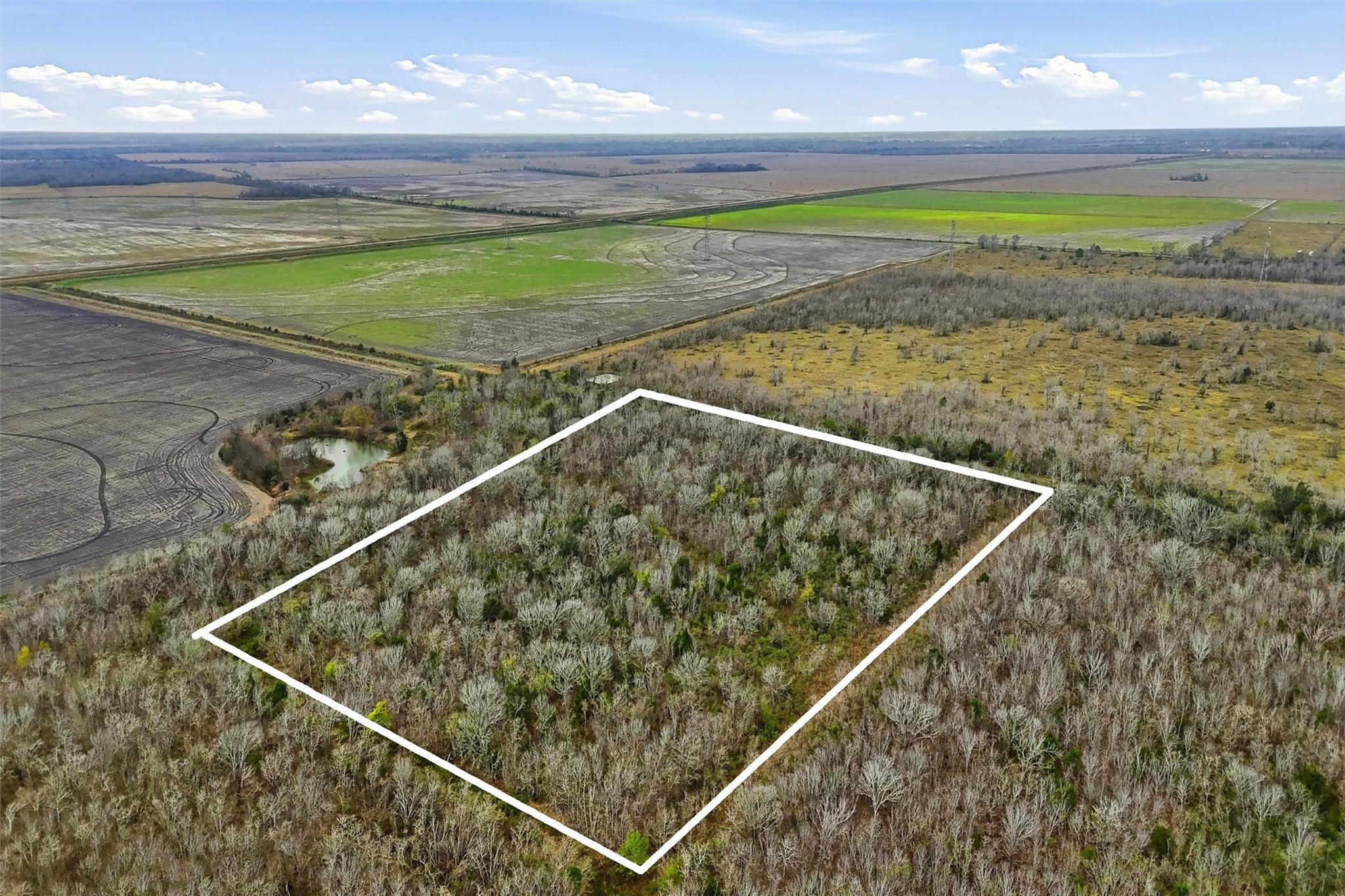 0 Tbd, County Road 146