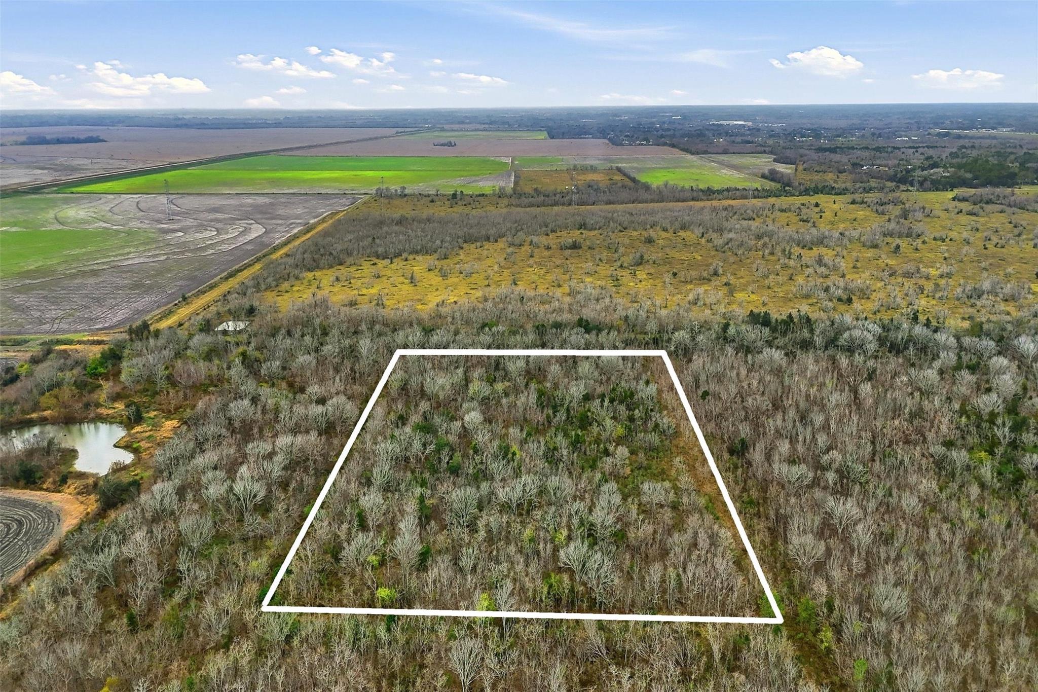 0 Tbd, County Road 146