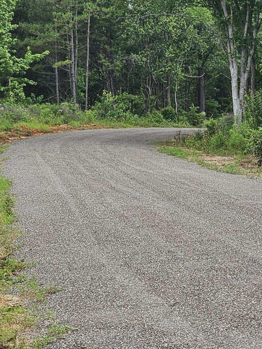 3173 County Road 415