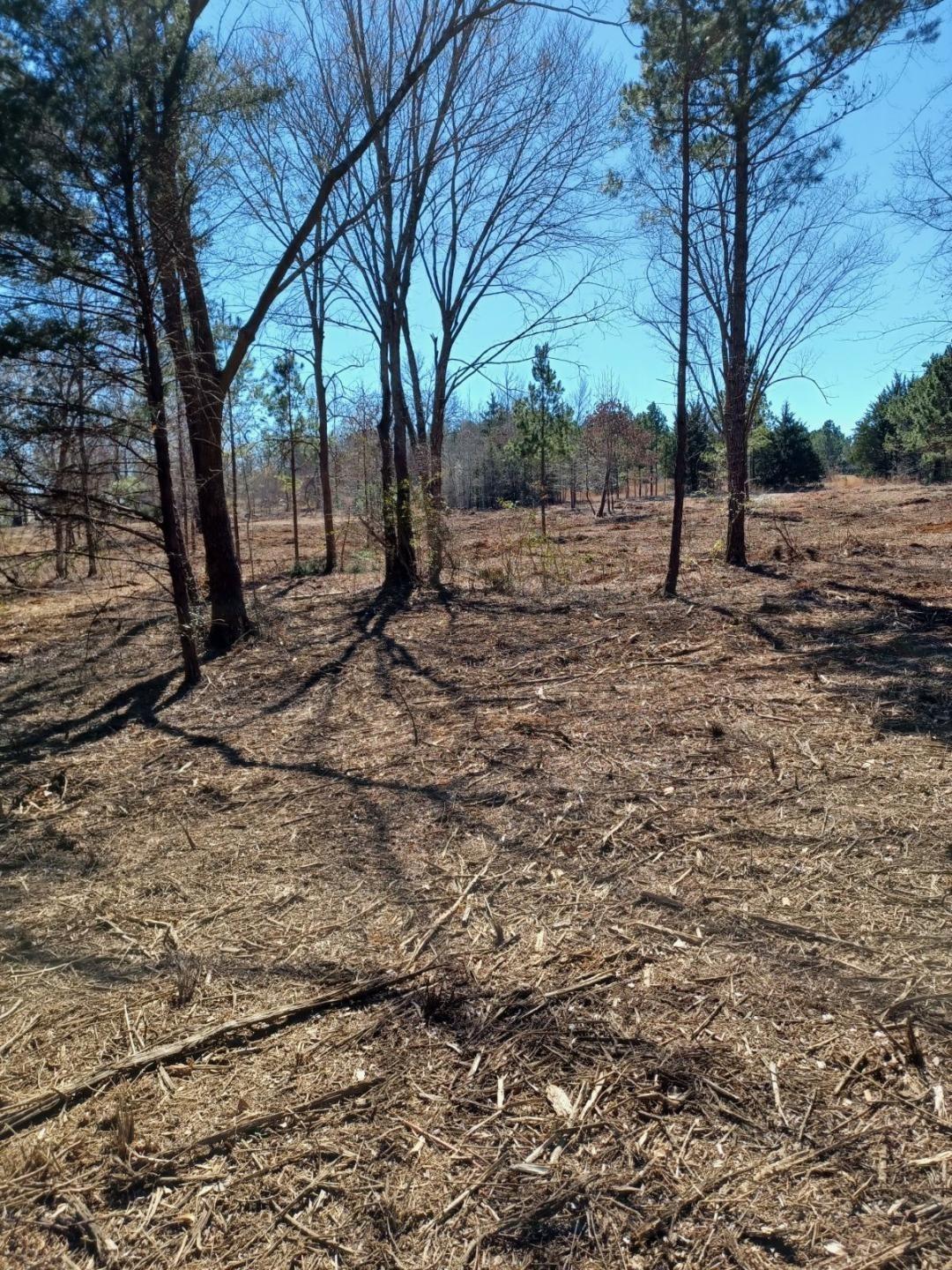 3173 County Road 415