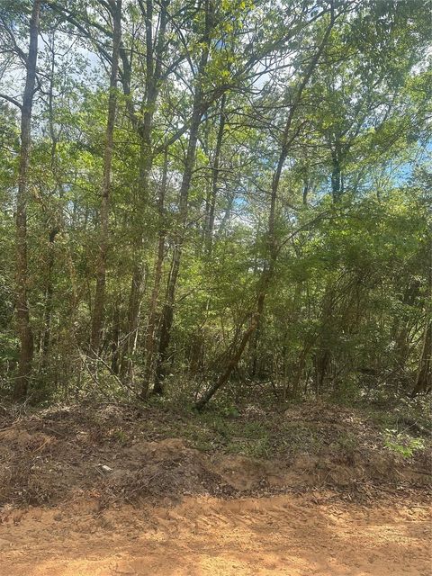 Vacant Land For Sale - 00 Patricia Drive<br/> Livingston, TX 77351