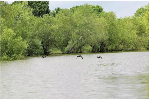 Photo of 141 W Lakeside Drive, Huntsville, TX 77320 (MLS # 70000426)