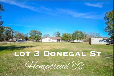 Photo of 87 Donegal St, Hempstead, TX 77445 (MLS # 17289964)
