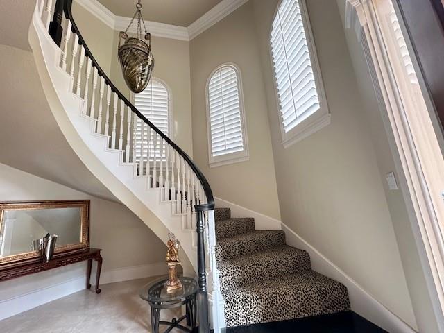 4002 Colony Oaks Drive