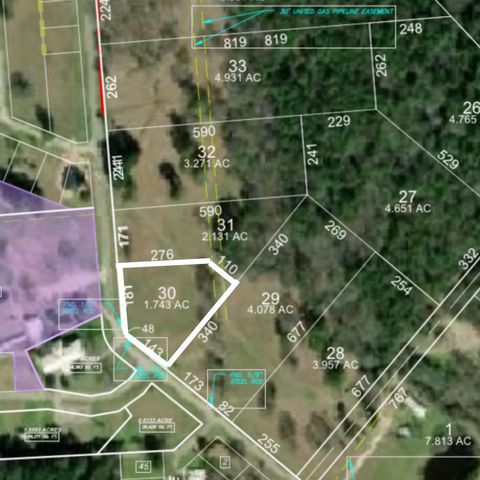 Vacant Land For Sale - LOT 30 Lake Livingston Lane<br/> Trinity, TX 75862