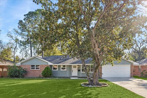 Photo of 8911 Opelika Street, Houston, TX 77080 (MLS # 53482419)