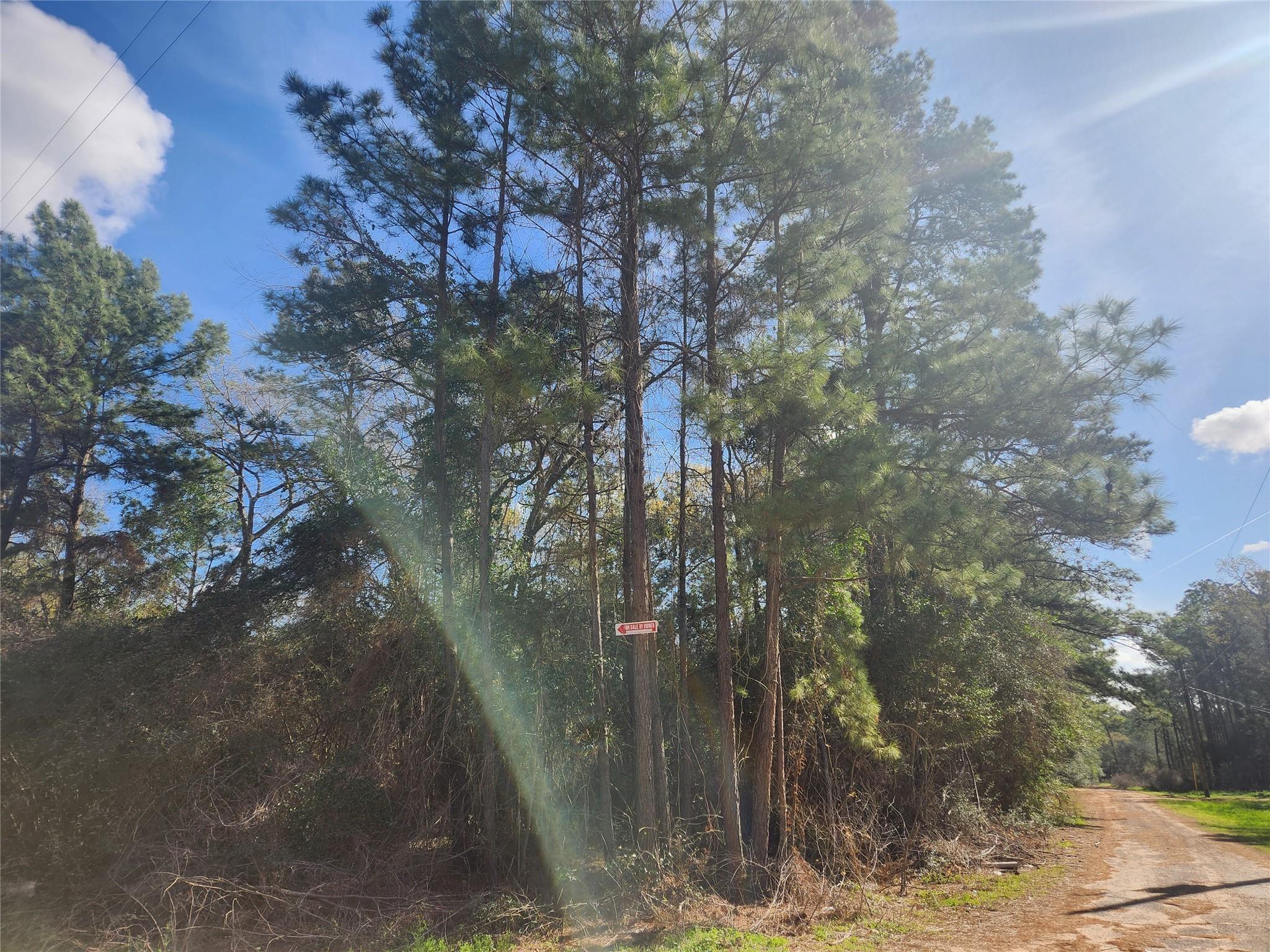 Lot 2 Live Oak Drive