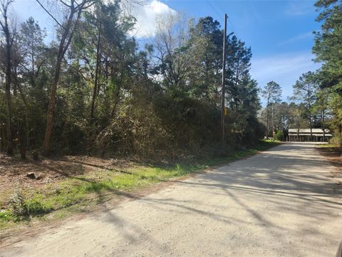 Vacant Land For Sale - LOT 2 Live Oak Drive<br/> Plantersville, TX 77363