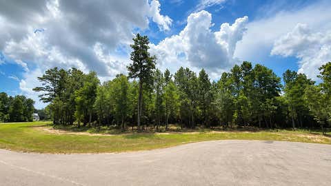 Photo of 7625 Trinity Pines Dr DR, Montgomery, TX 77316 (MLS # 88444305)