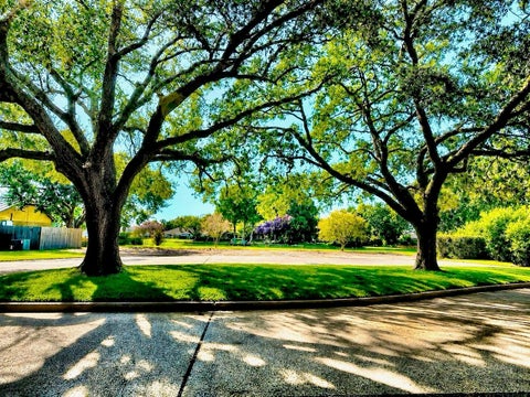 Photo of 711 Salerno Street, Sugar Land, TX 77478 (MLS # 53987892)