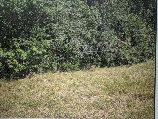 PHILLIPS COOPER RD, LIVINGSTON, TX 77351 - Image e3cb9c135fd5f8f44e4c29154dce2e1f/1760899247