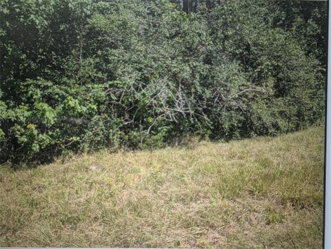 Photo of 0 Phillip Cooper Road, Corrigan, TX 75939 (MLS # 15338457)