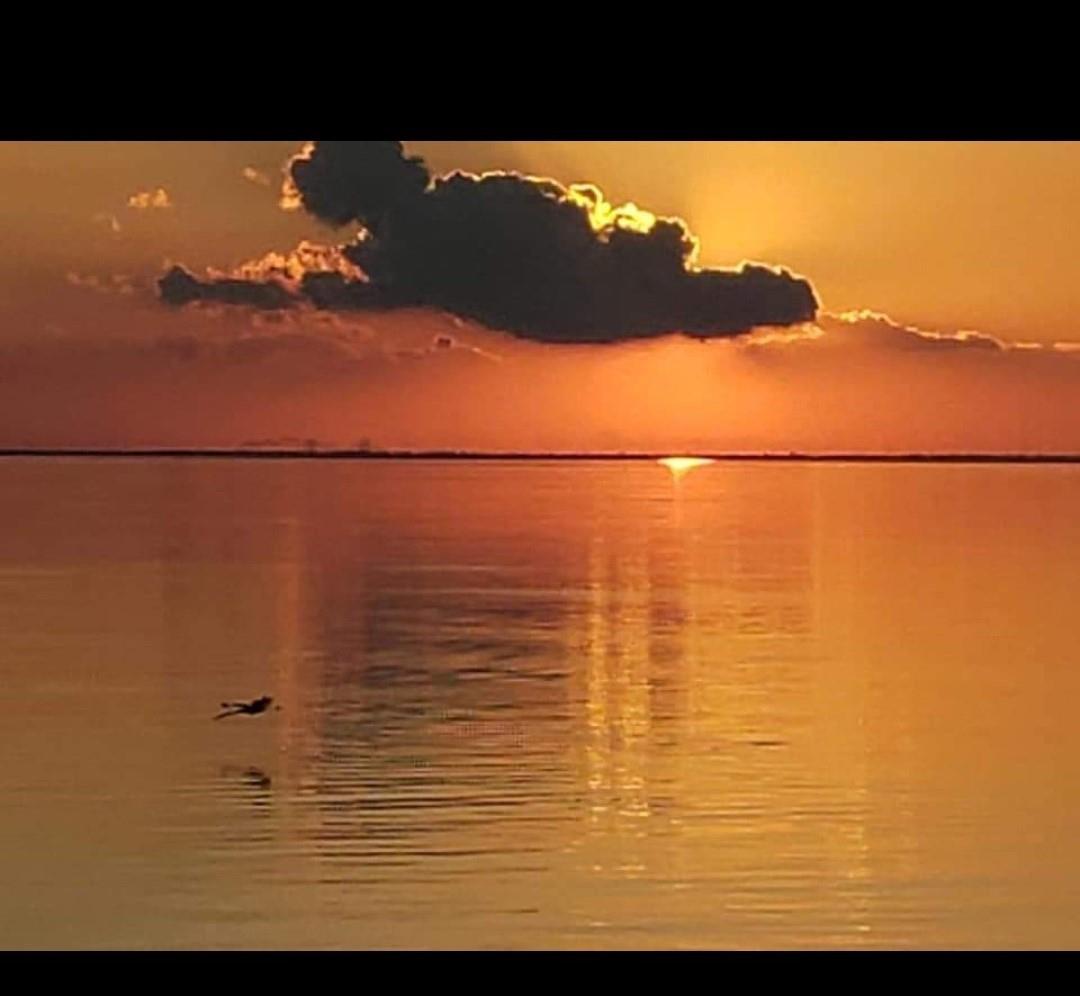 0000 Channelview