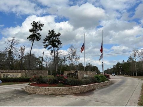 21240 Grant Lake Circle Cleveland TX 77328