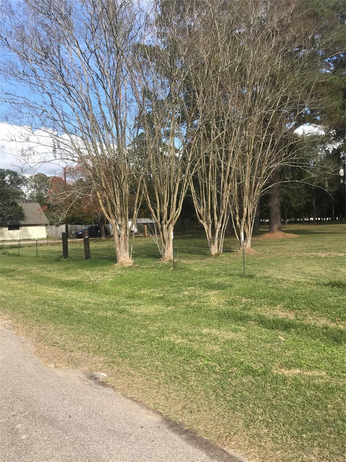 538 Lesa Lane