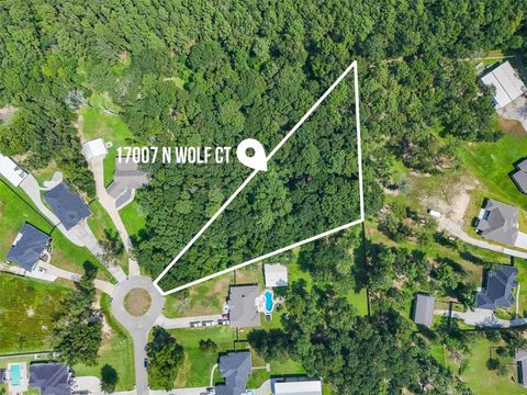 Photo of 17007 N Wolf Court, Splendora, TX 77372 (MLS # 71672479)