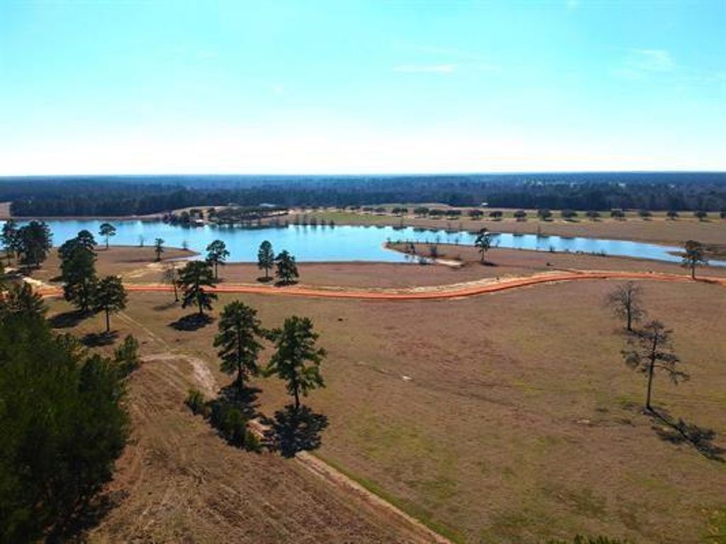 Photo of 85 Lakeland Loop, Hillister, TX 77624 (MLS # 38266806)