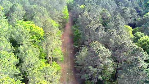 Vacant Land For Sale - TBD PARCEL # 96677 Hwy 190<br/> San Jacinto County, Point Blank, TX 77364