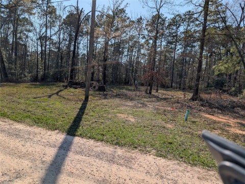 Photo of 195 Moonlite Drive, Livingston, TX 77351 (MLS # 4296603)
