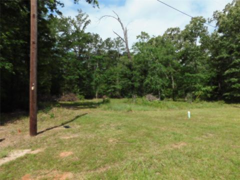 Photo of 195 Moonlite Drive, Livingston, TX 77351 (MLS # 4296603)