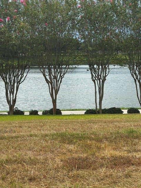 Photo of 9318 Torridon Court, Houston, TX 77095 (MLS # 29432426)