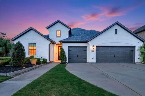 10494 Lake Palmetto Drive Conroe TX 77385