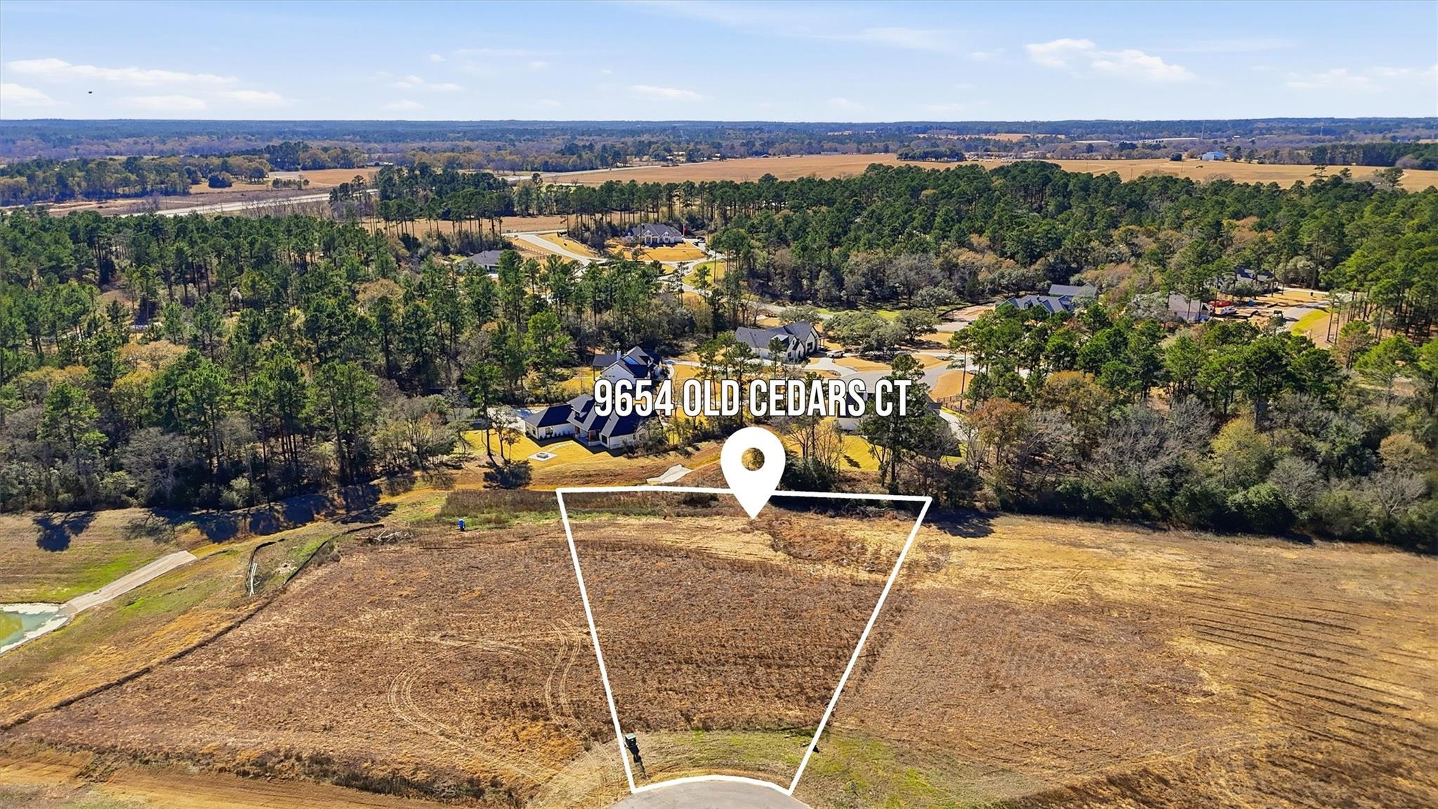 9654 Old Cedars Court