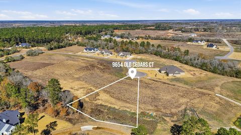 Photo of 9654 Old Cedars Court, Plantersville, TX 77363 (MLS # 85227344)