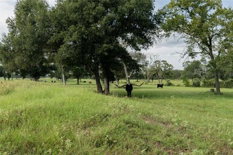 Photo of 0 Aztec Lane, New Ulm, TX 78950 (MLS # 53987660)