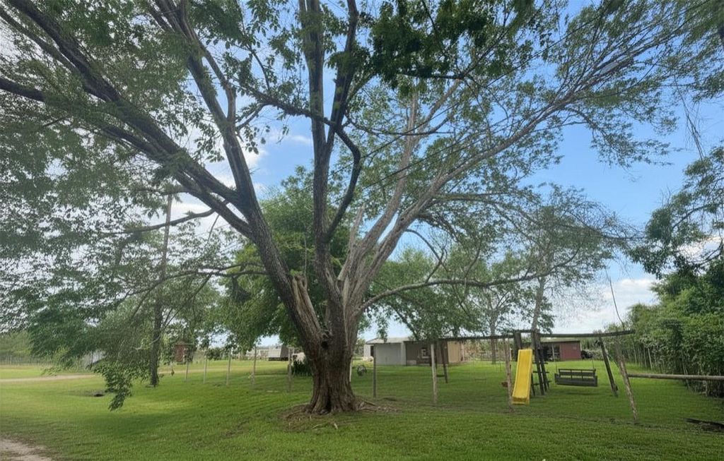 Photo of 8925 Spruce Street, Hitchcock, TX 77563 (MLS # 73018876)