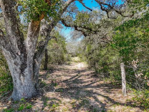 Photo of 0 County Road 19, Garwood, TX 77442 (MLS # 46792989) Photo of 0 County Road 19, Garwood, TX 77442 (MLS # 46792989)