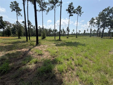 Photo of 1000 Private Road 6026, Brookeland, TX 75931 (MLS # 25809904)