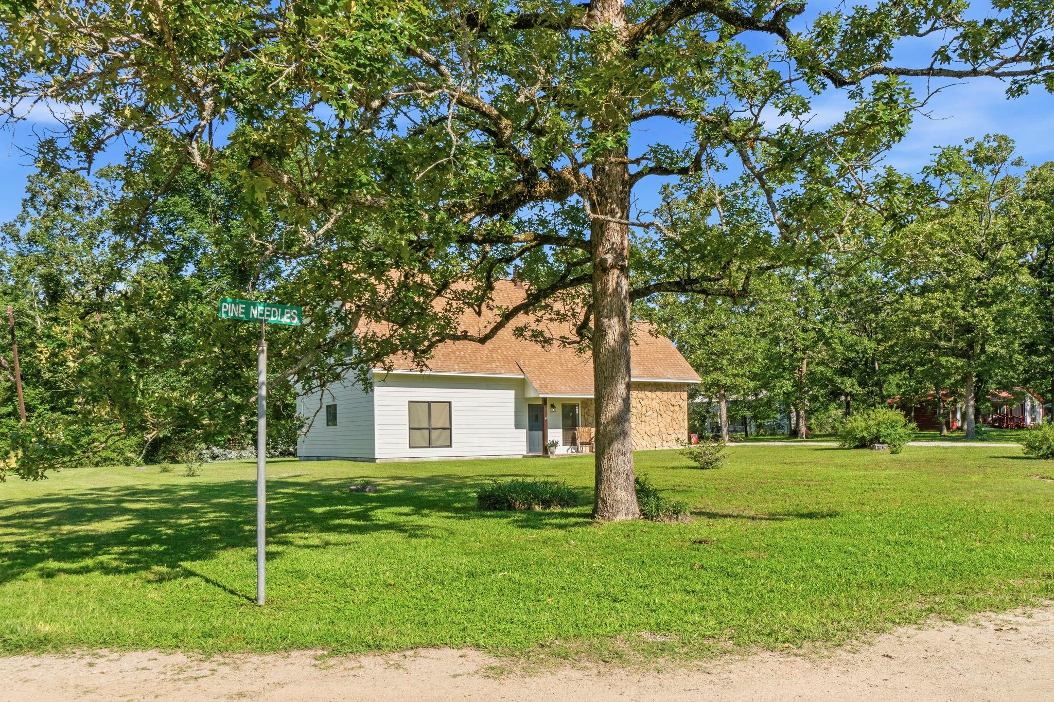 109 Pine Needle Street