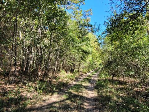 10785 Fm-2518 Cleveland TX 77327