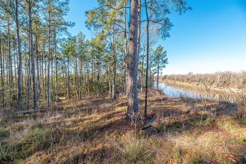 Photo of 898 Taylor Lake Road, Livingston, TX 77351 (MLS # 56511402)