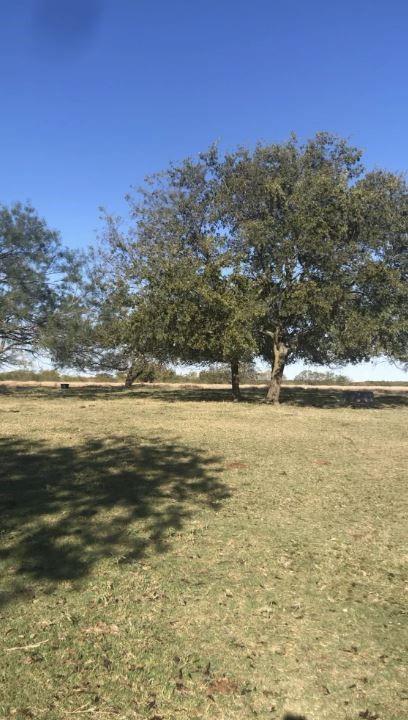 Vacant Land For Sale - Lcr 300<br/> Mart, TX 76664