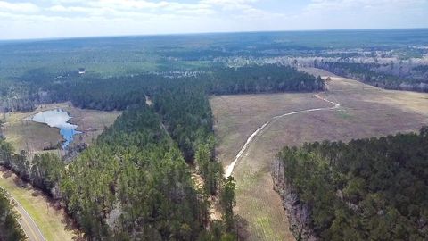 Vacant Land For Sale - 4300 Fm 256<br/> Tyler County, Woodville, TX 75979