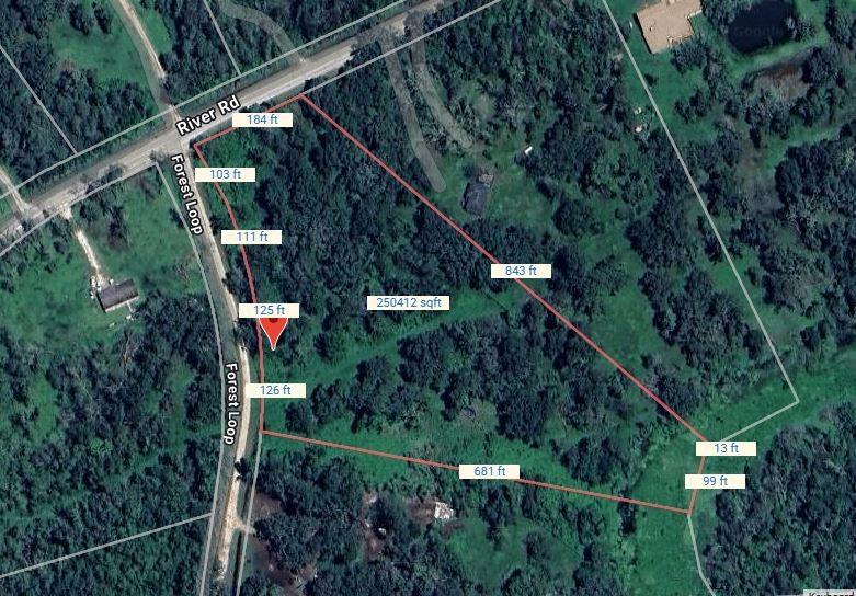 107 Forest Loop