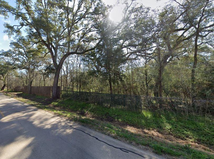 107 Forest Loop
