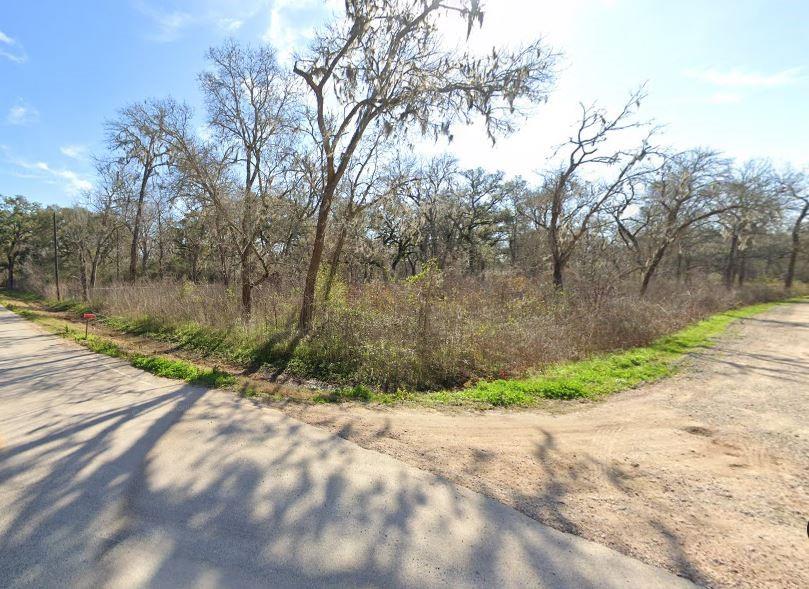 107 Forest Loop