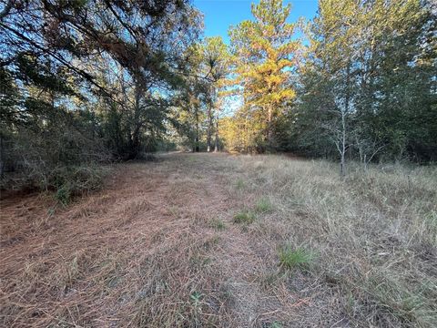 Vacant Land For Sale - 700 Pr 8160<br/> Lovelady, TX 75851