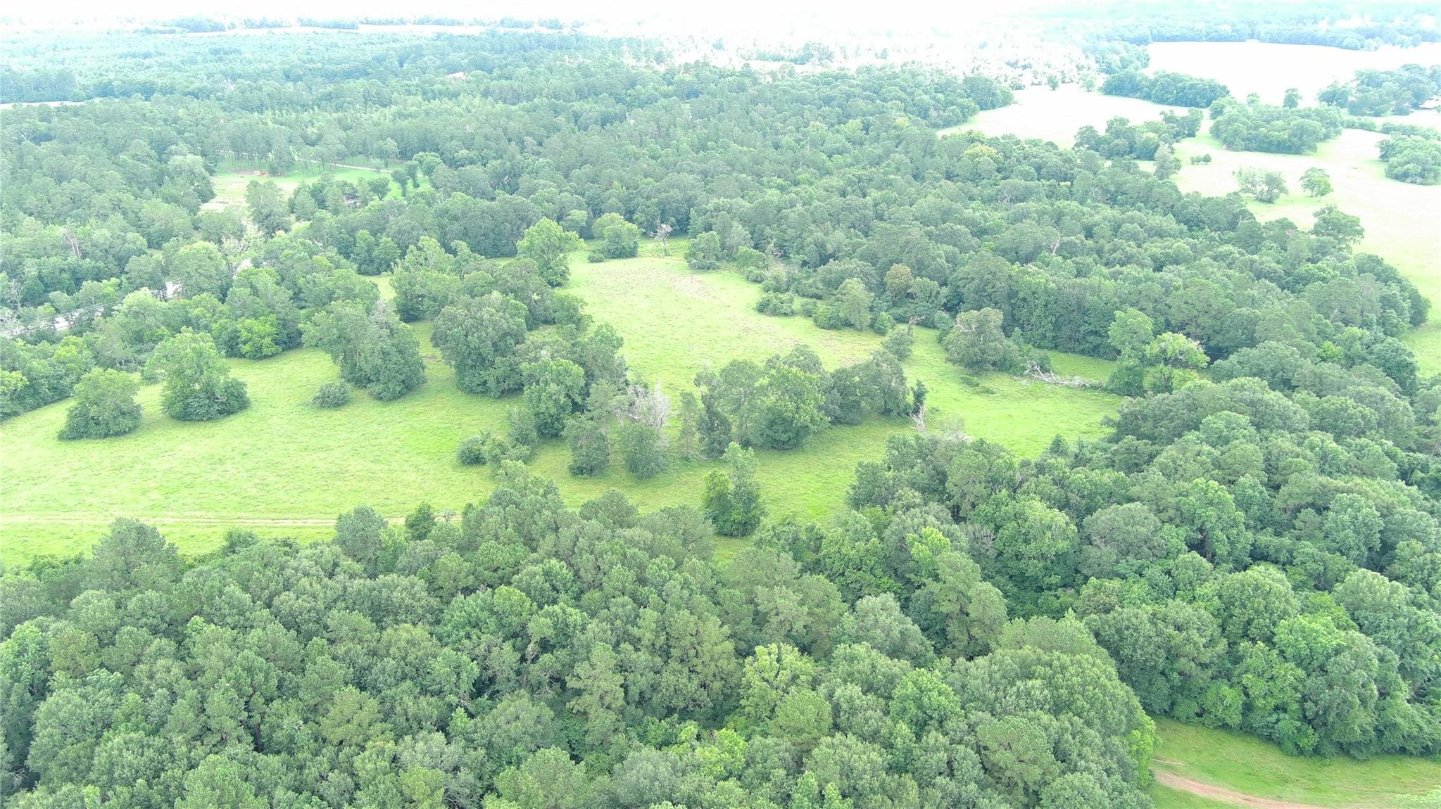 TBD E Tx-150 Highway