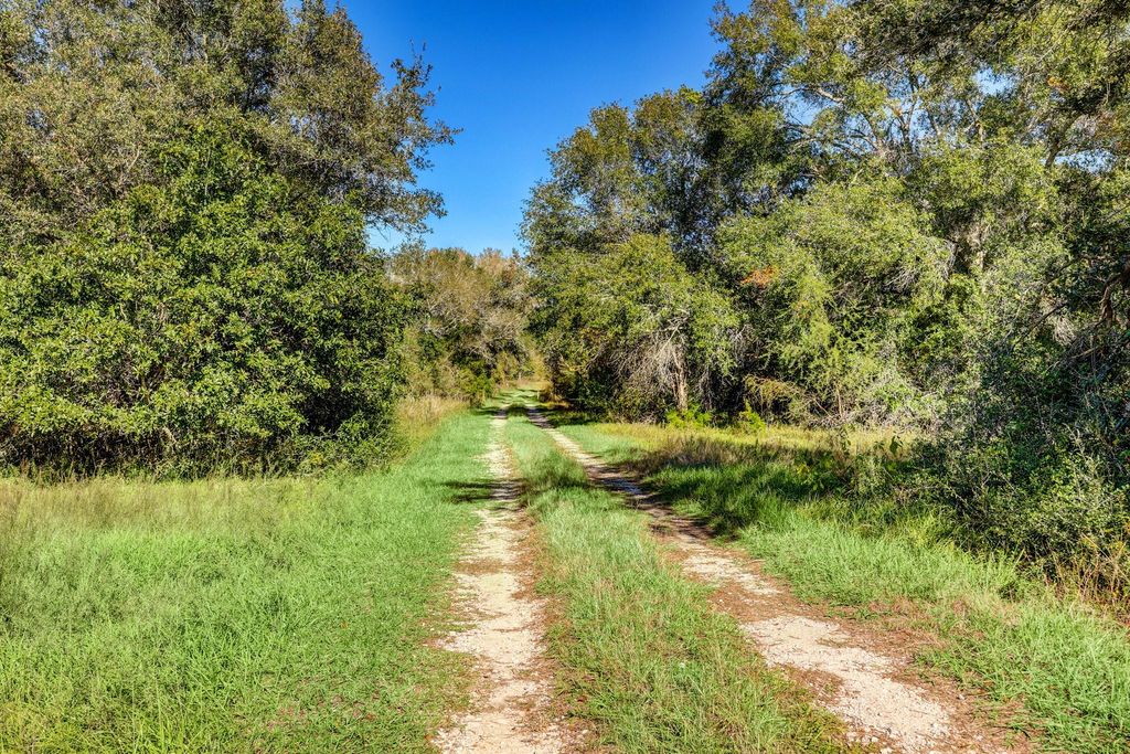 Photo of 0 County Road 509 Off County Rd, Damon, TX 77430 (MLS # 58413721)