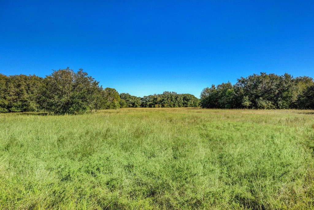 Photo of 0 County Road 509 Off County Rd, Damon, TX 77430 (MLS # 58413721)