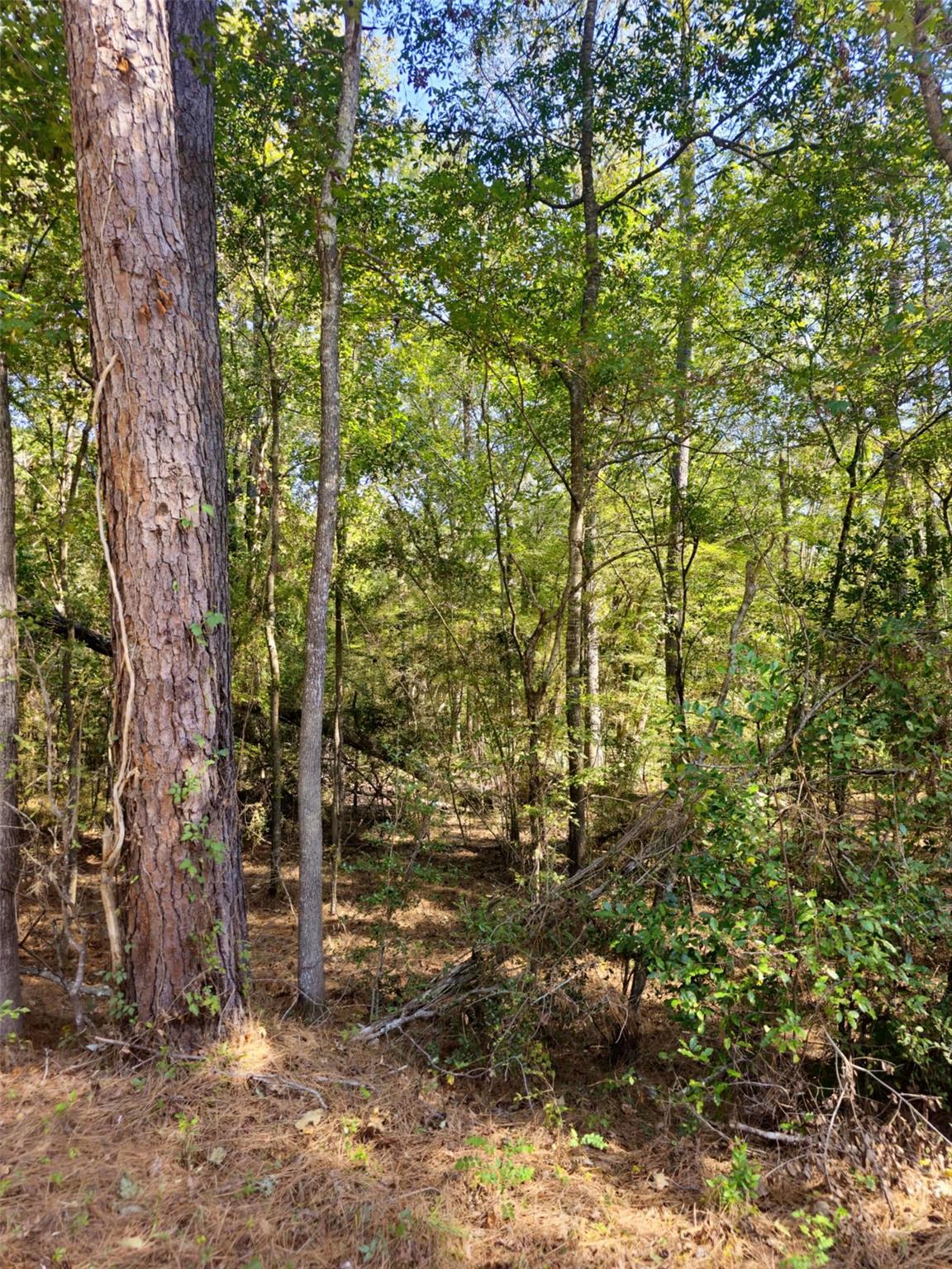 tbd Royal Springs Road