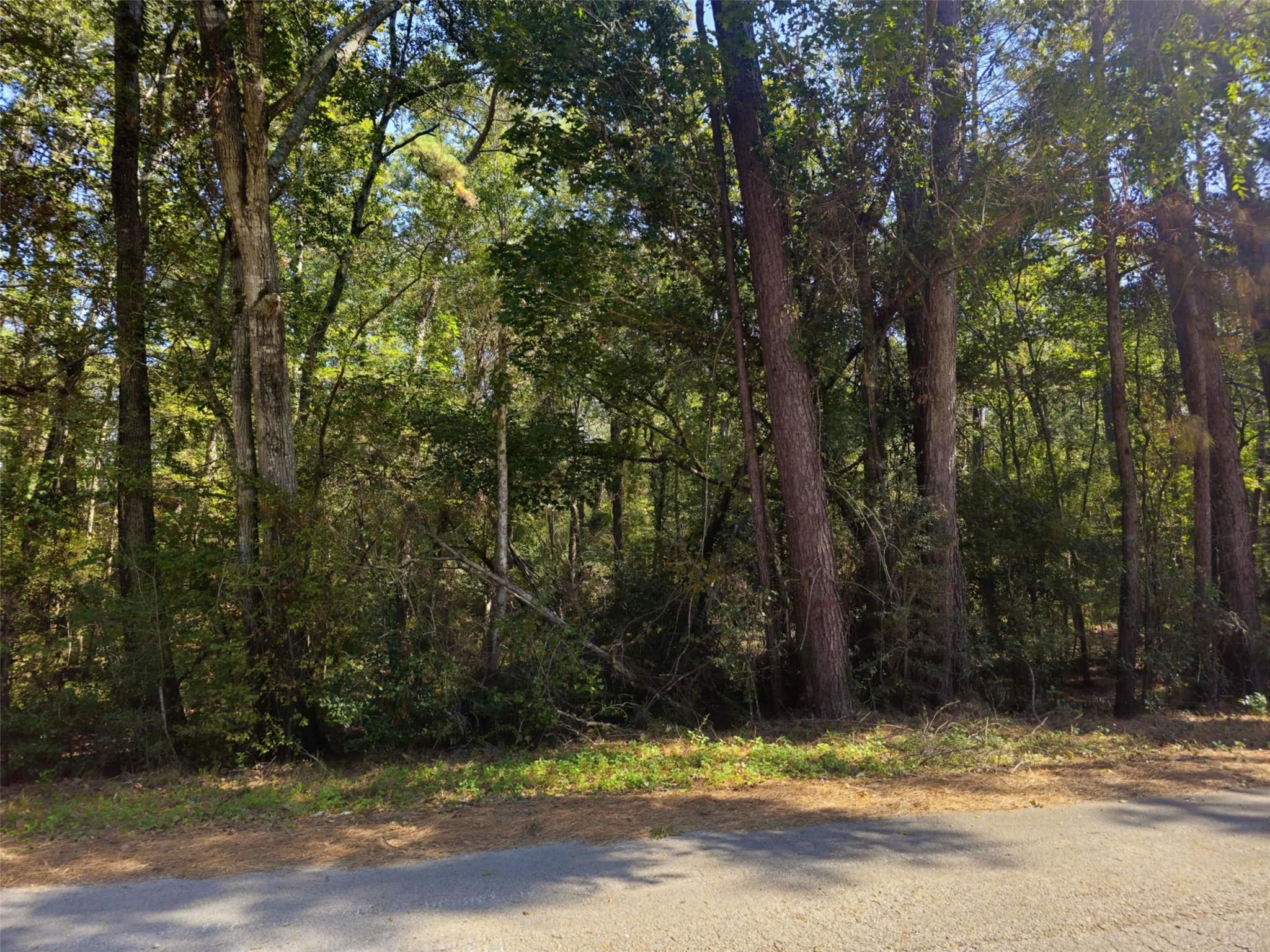 tbd Royal Springs Road