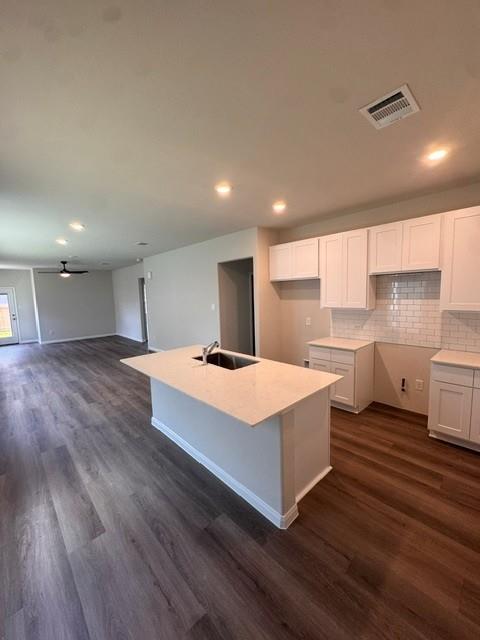 22444 Ringtail Road